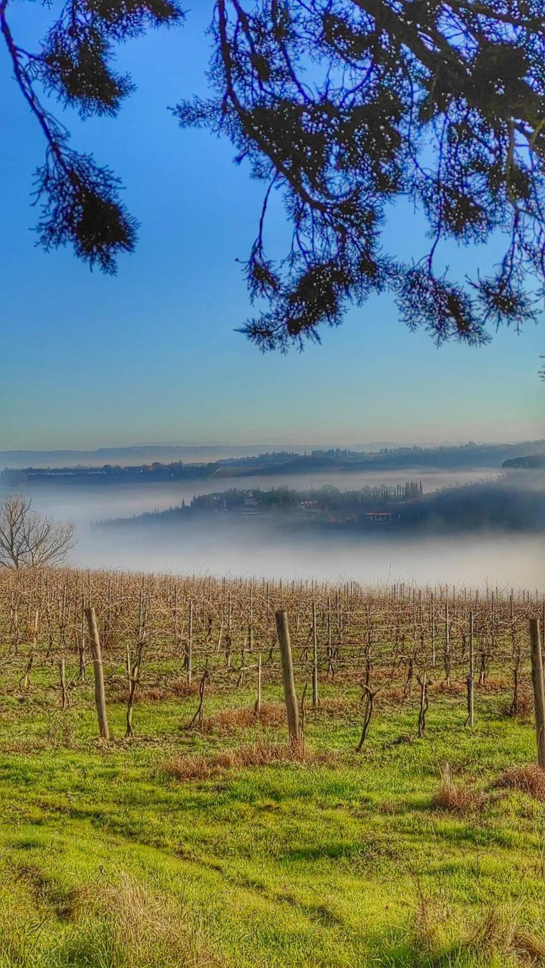 Agriturismo Casa Alle Vacche San Gimignano Extérieur photo