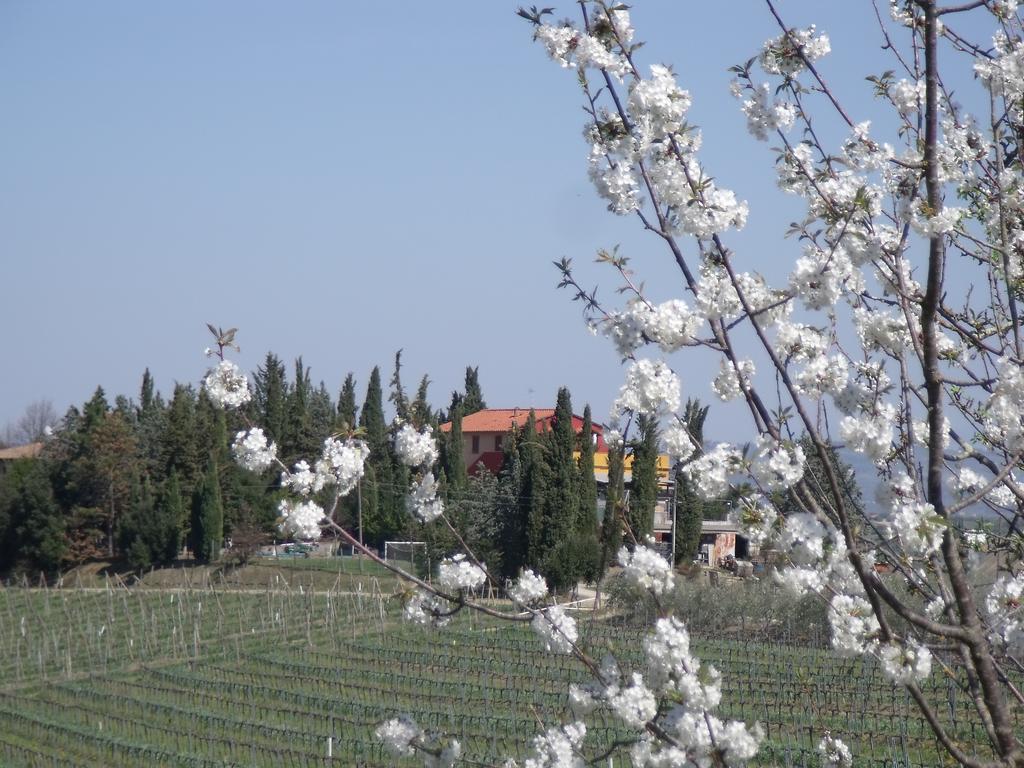 Agriturismo Casa Alle Vacche San Gimignano Extérieur photo